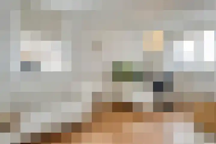 Pijlkruid 47 Nijverdal thumbnail 29