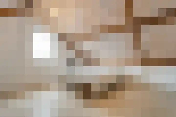 Pijlkruid 47 Nijverdal thumbnail 36