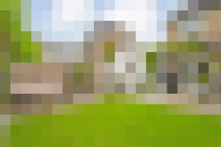 Pijlkruid 47 Nijverdal thumbnail 37
