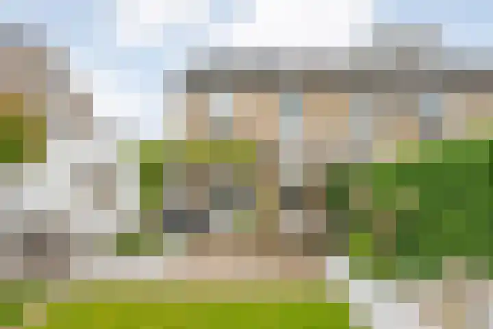 Pijlkruid 47 Nijverdal thumbnail 38