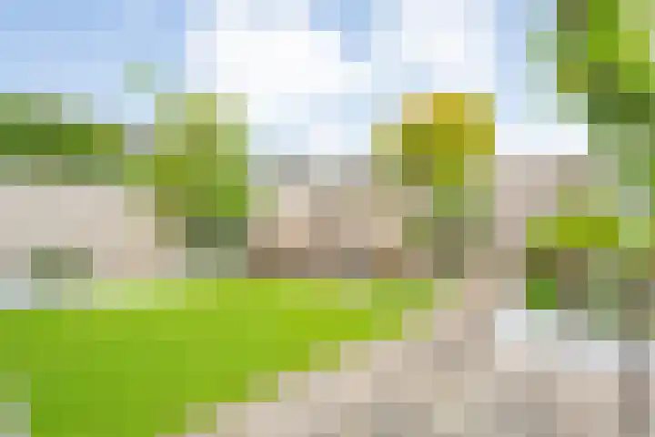 Pijlkruid 47 Nijverdal thumbnail 39
