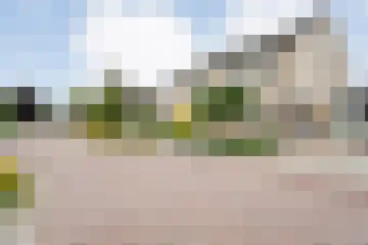 Pijlkruid 47 Nijverdal thumbnail 4