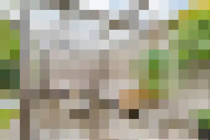 Pijlkruid 47 Nijverdal thumbnail 41