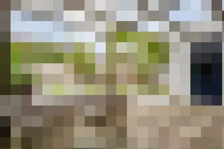 Pijlkruid 47 Nijverdal thumbnail 44