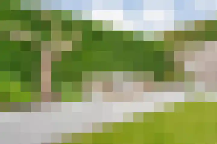 Pijlkruid 47 Nijverdal thumbnail 45
