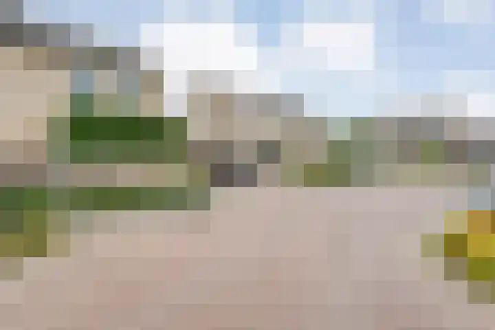 Pijlkruid 47 Nijverdal thumbnail 5