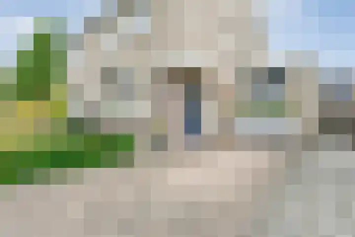 Pijlkruid 47 Nijverdal thumbnail 6
