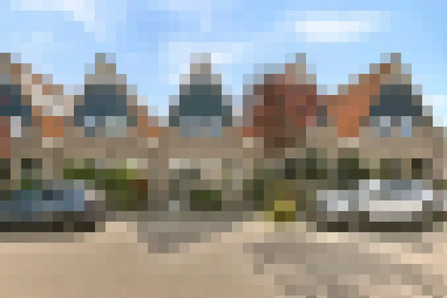 Pijlkruid 5 Velserbroek
