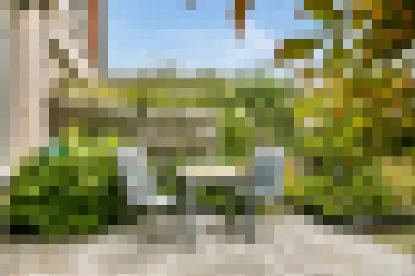 Pijlkruid 5 Velserbroek thumbnail 10