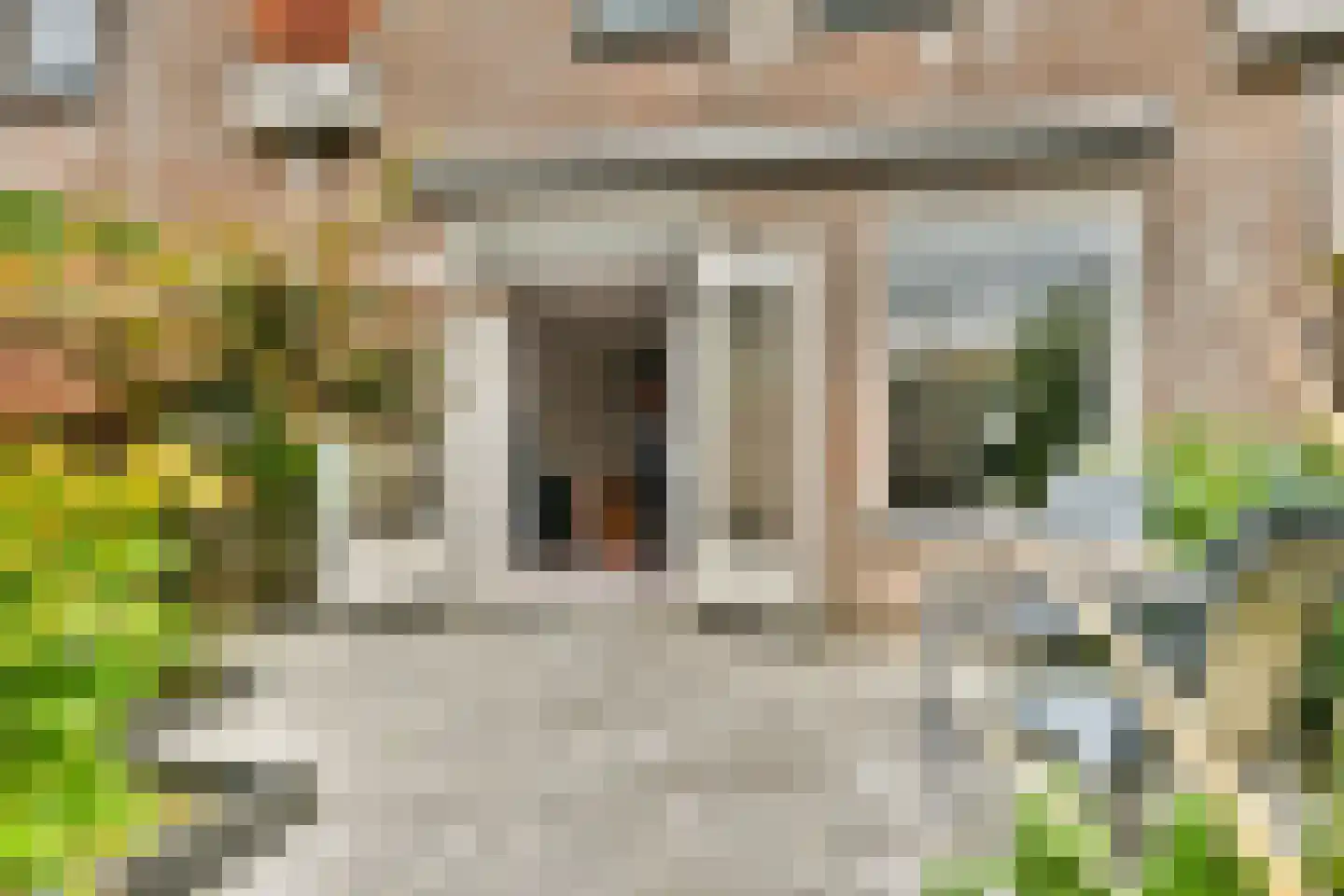 Pijlkruid 5 Velserbroek thumbnail 11
