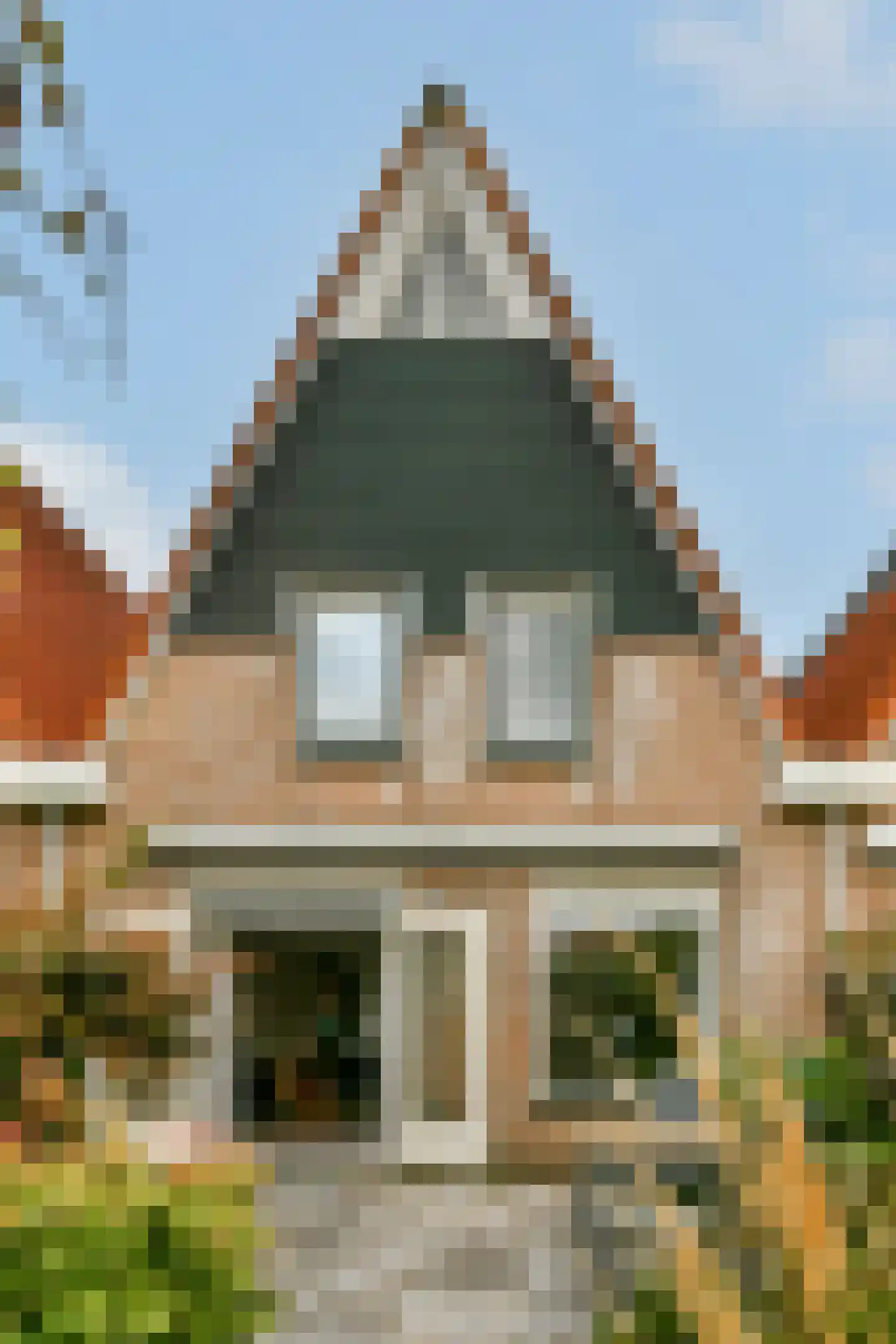 Pijlkruid 5 Velserbroek thumbnail 12