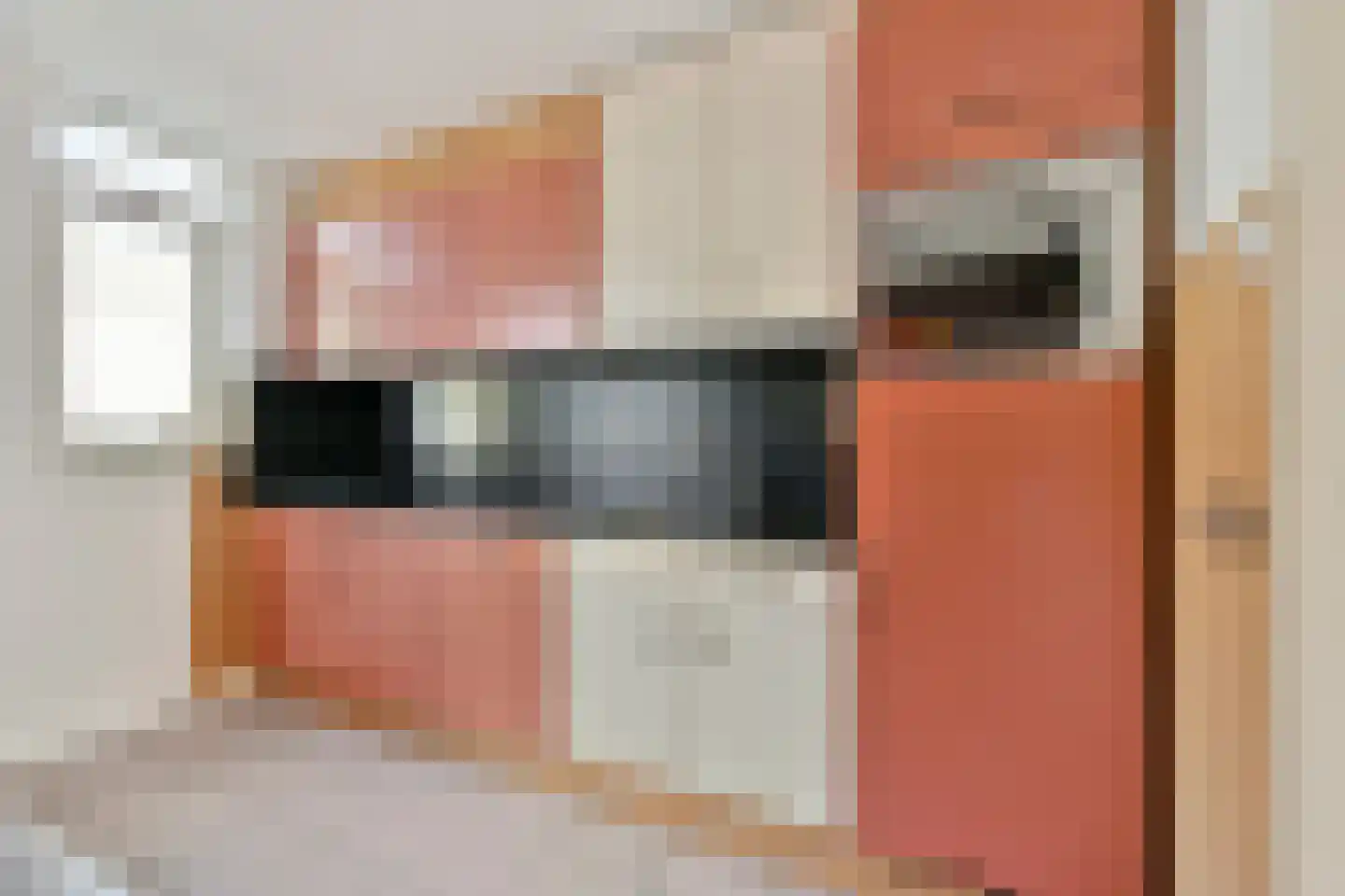 Pijlkruid 5 Velserbroek thumbnail 12