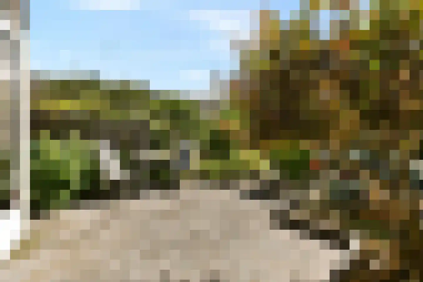 Pijlkruid 5 Velserbroek thumbnail 13