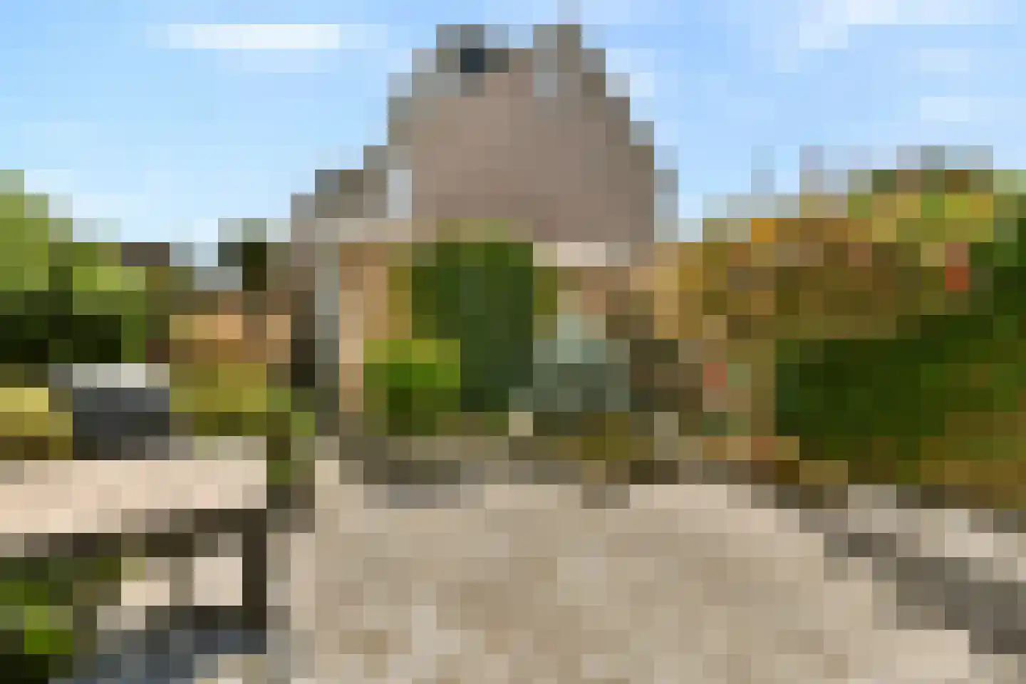 Pijlkruid 5 Velserbroek thumbnail 14