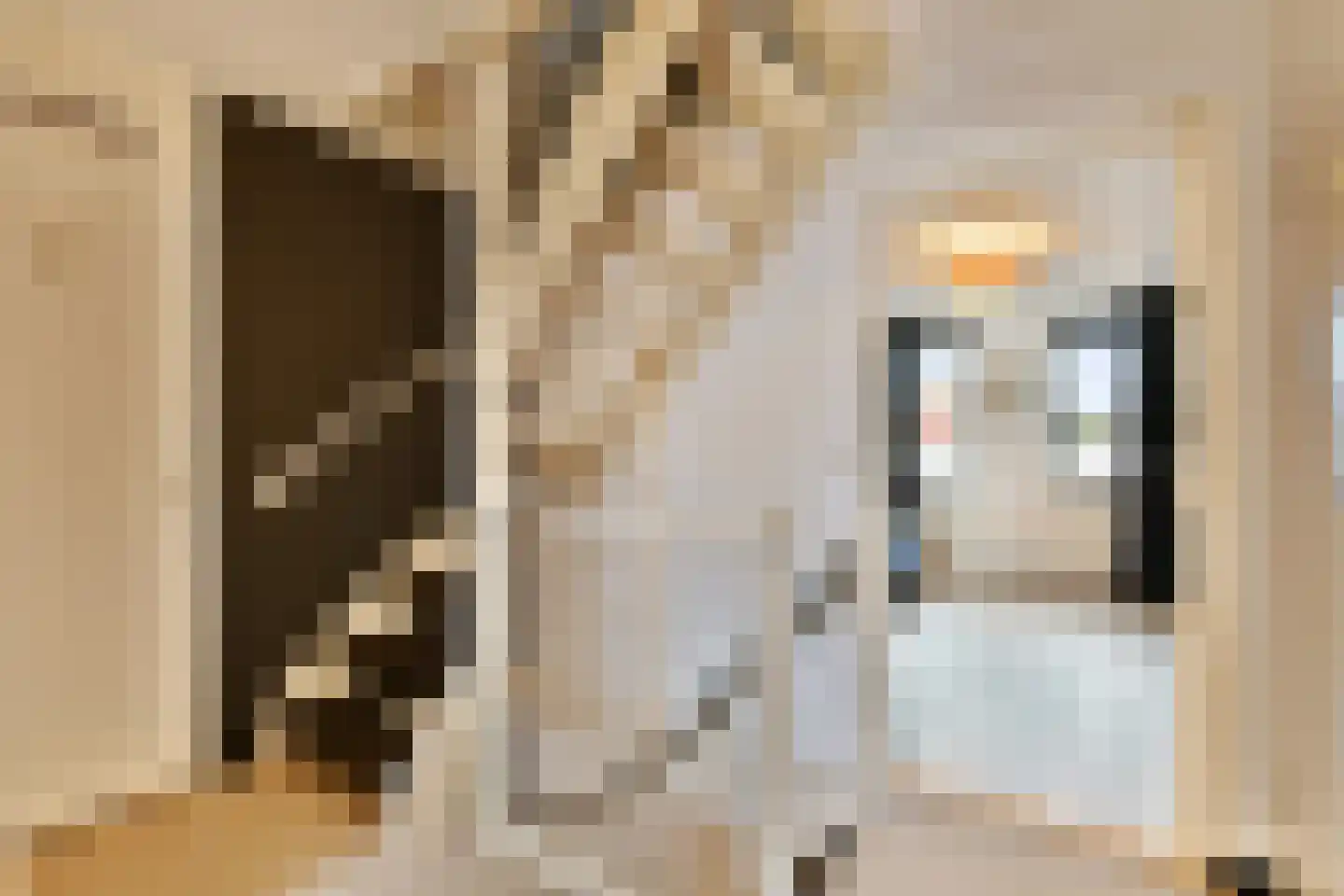 Pijlkruid 5 Velserbroek thumbnail 14