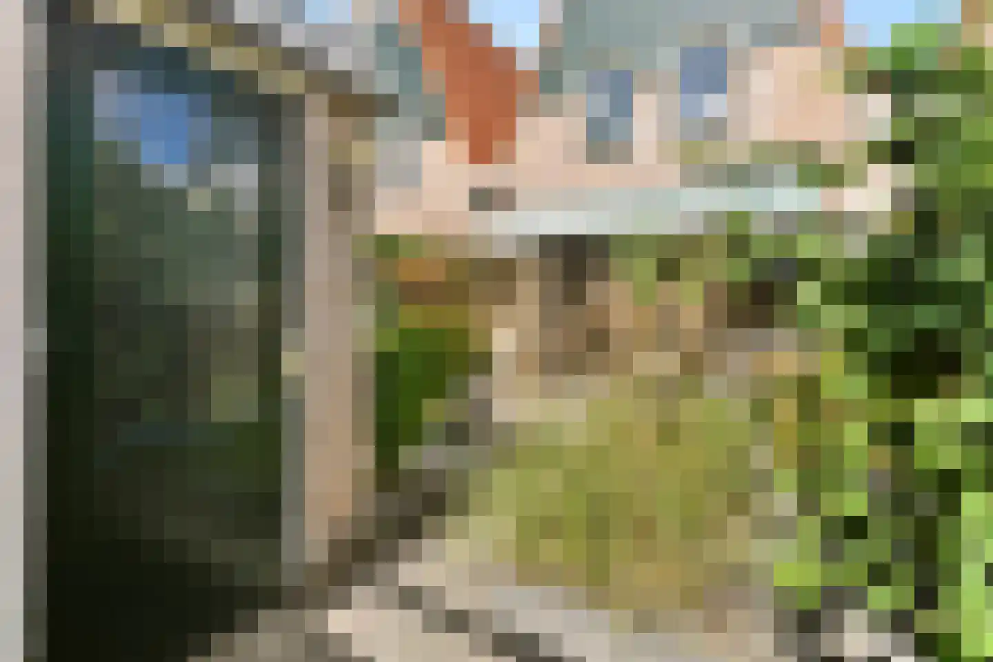 Pijlkruid 5 Velserbroek thumbnail 15