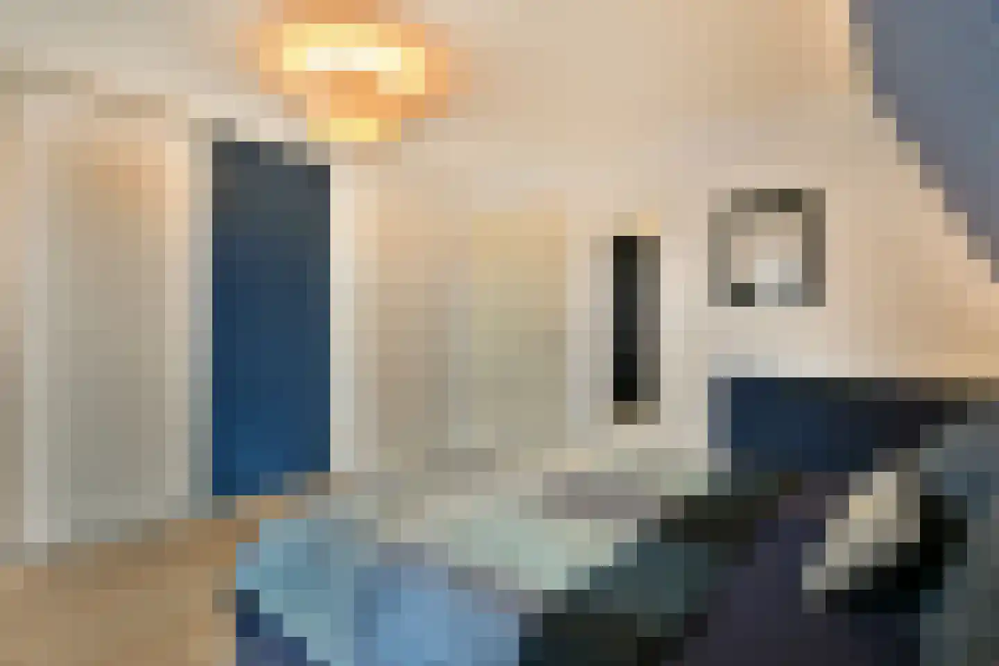 Pijlkruid 5 Velserbroek thumbnail 16