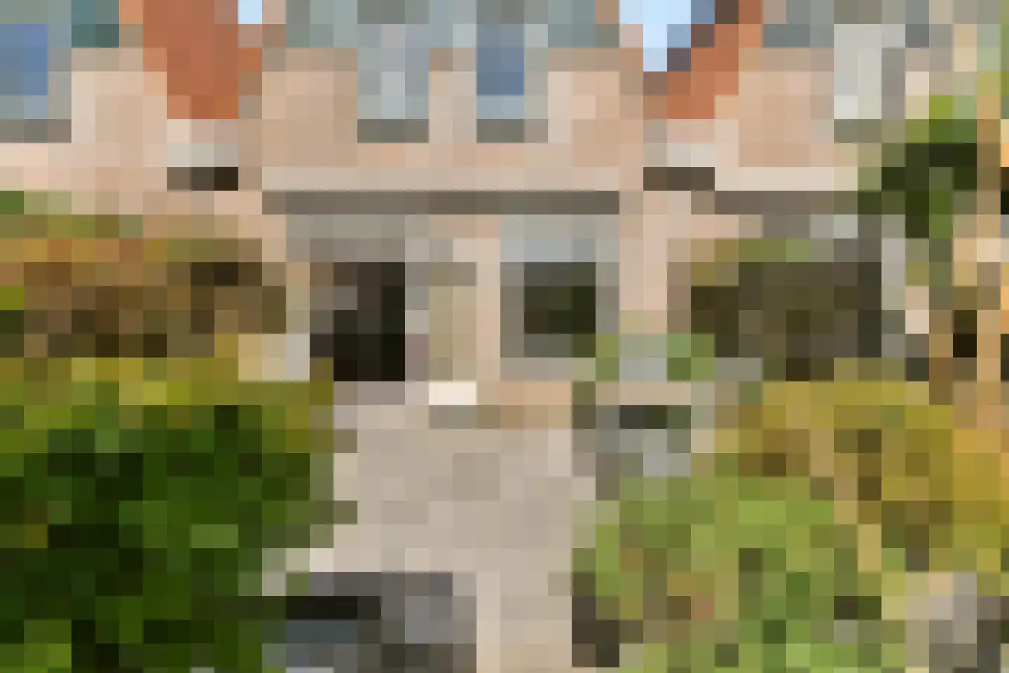 Pijlkruid 5 Velserbroek thumbnail 16