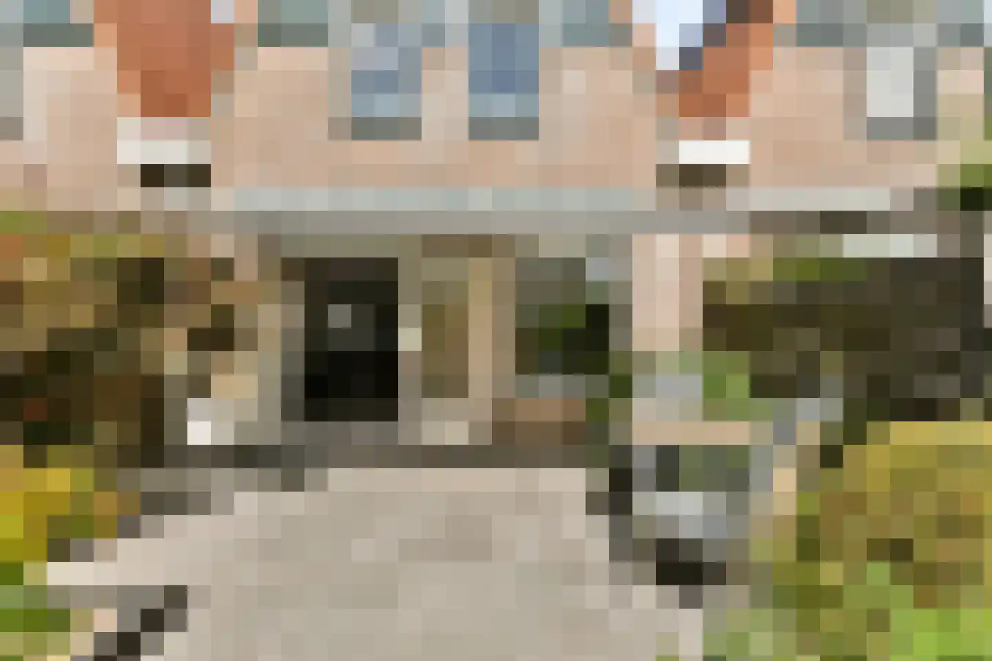 Pijlkruid 5 Velserbroek thumbnail 17
