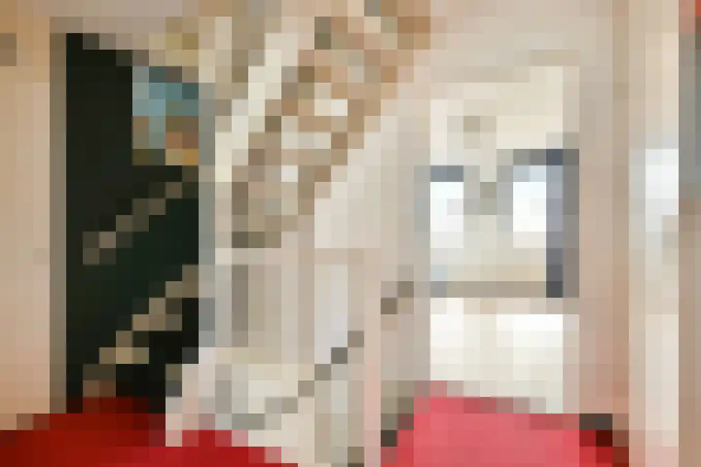 Pijlkruid 5 Velserbroek thumbnail 18