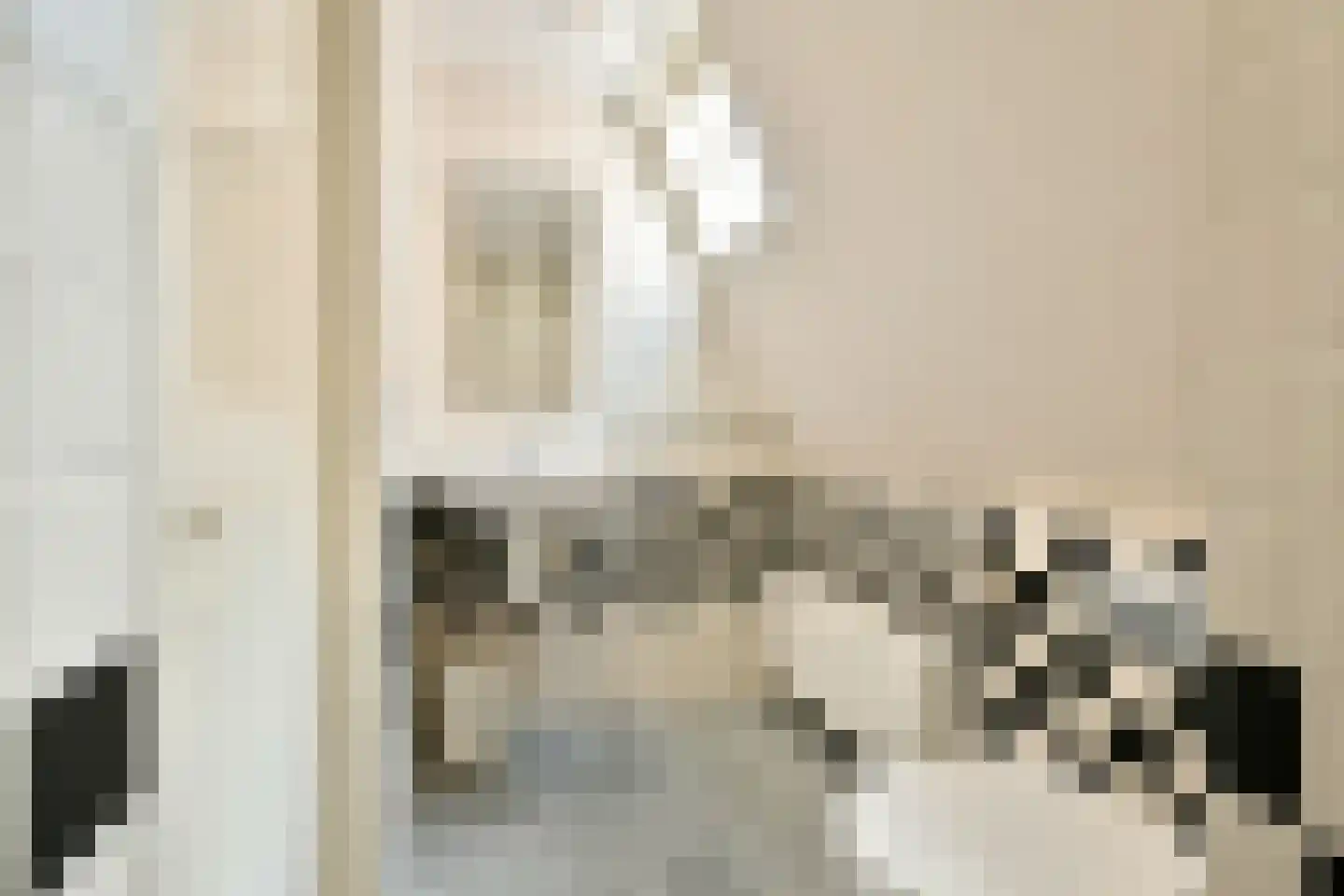 Pijlkruid 5 Velserbroek thumbnail 20