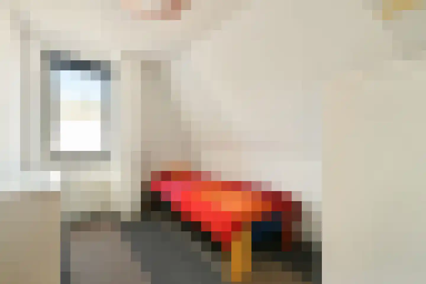 Pijlkruid 5 Velserbroek thumbnail 22