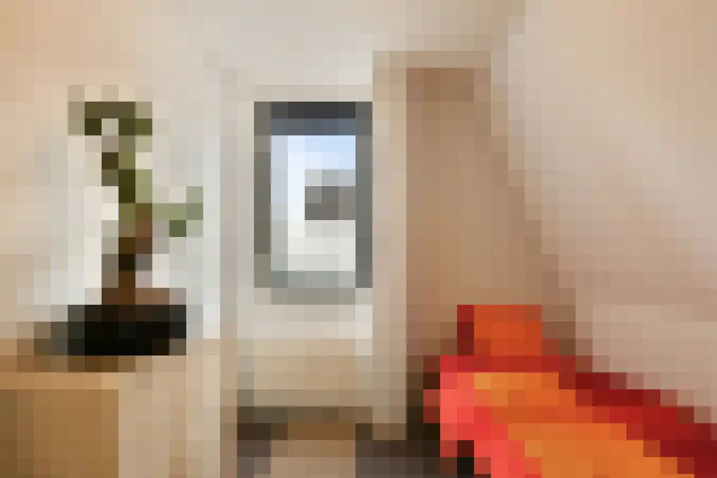 Pijlkruid 5 Velserbroek thumbnail 22