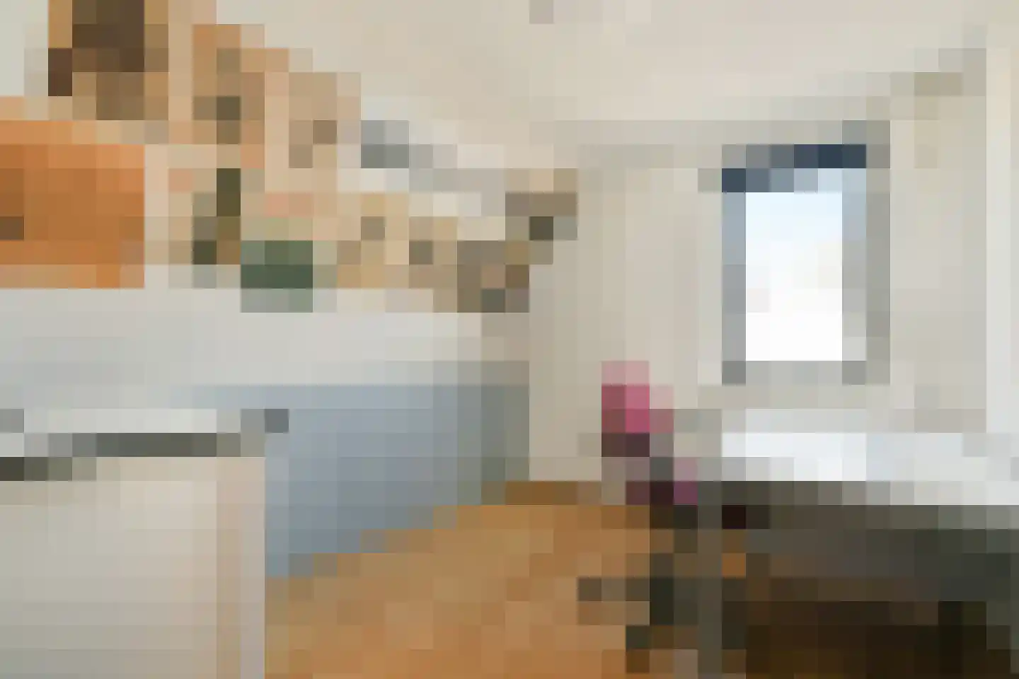 Pijlkruid 5 Velserbroek thumbnail 23