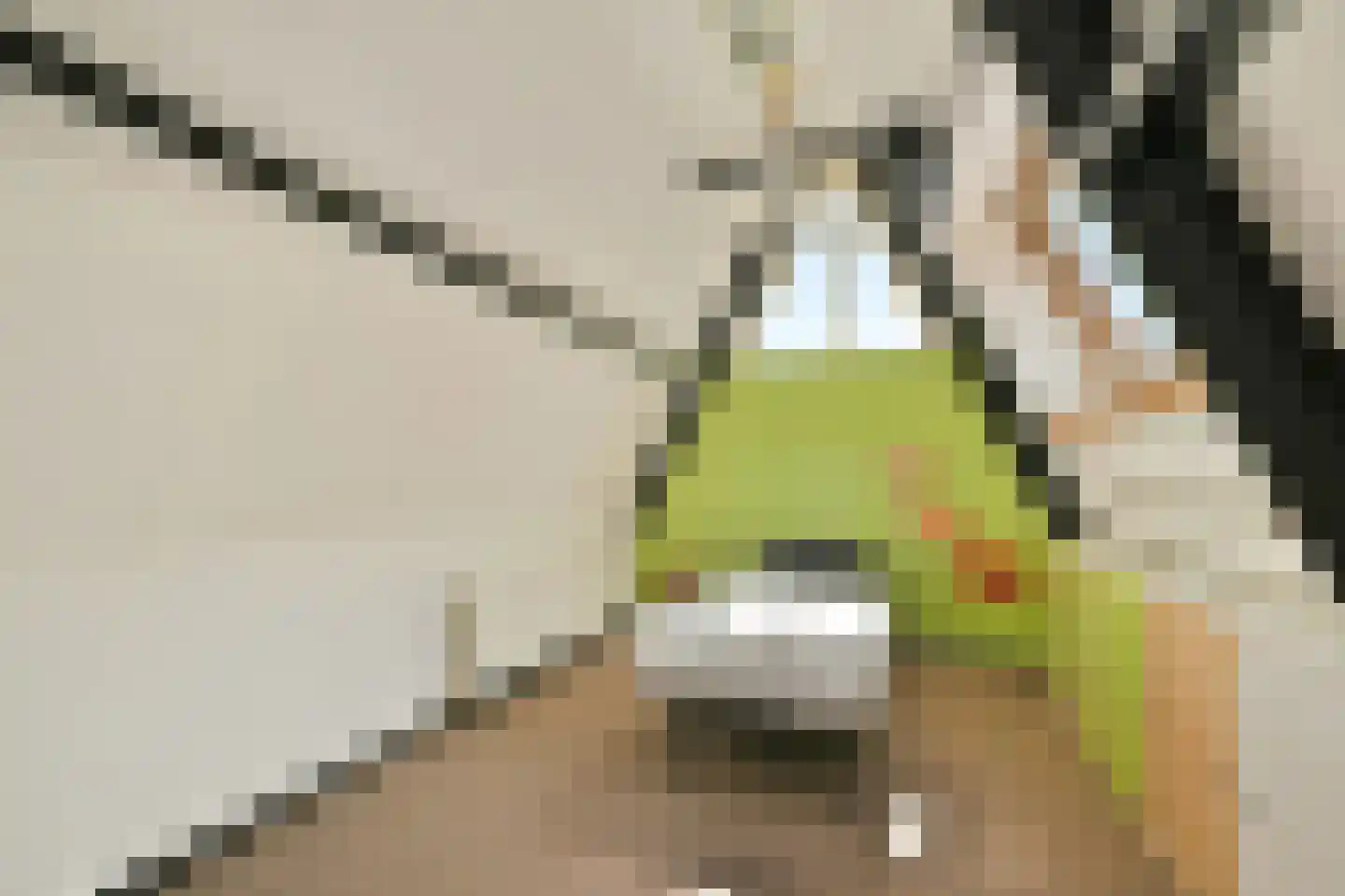 Pijlkruid 5 Velserbroek thumbnail 24