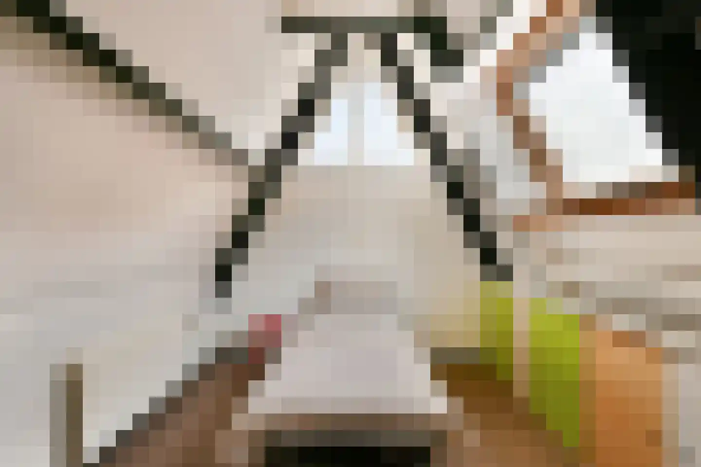 Pijlkruid 5 Velserbroek thumbnail 24