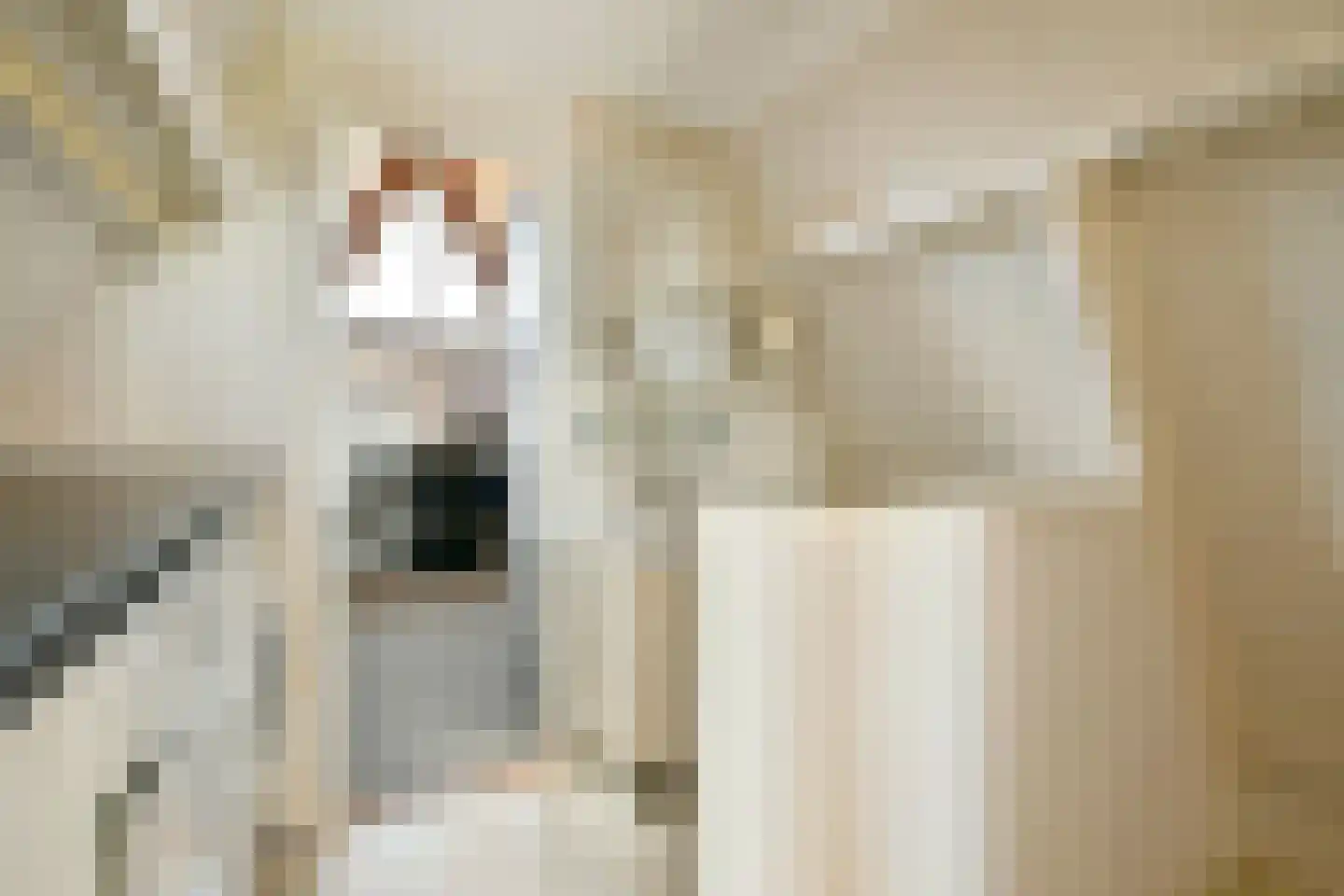 Pijlkruid 5 Velserbroek thumbnail 25