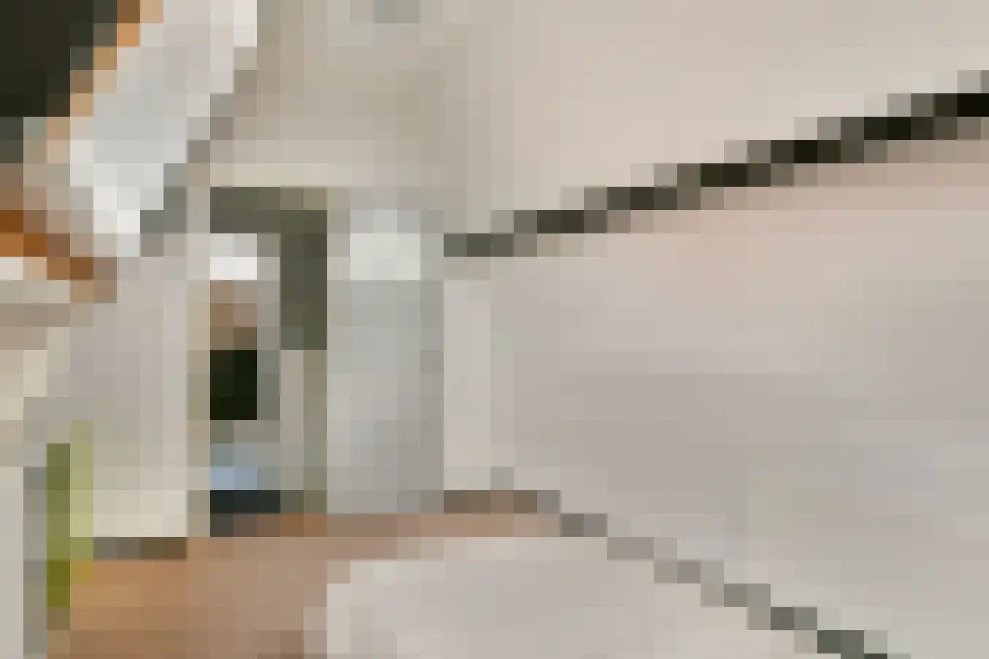 Pijlkruid 5 Velserbroek thumbnail 25