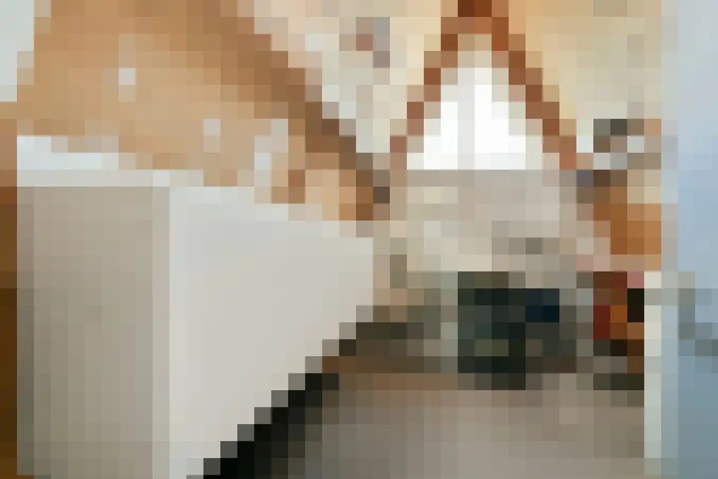 Pijlkruid 5 Velserbroek thumbnail 26