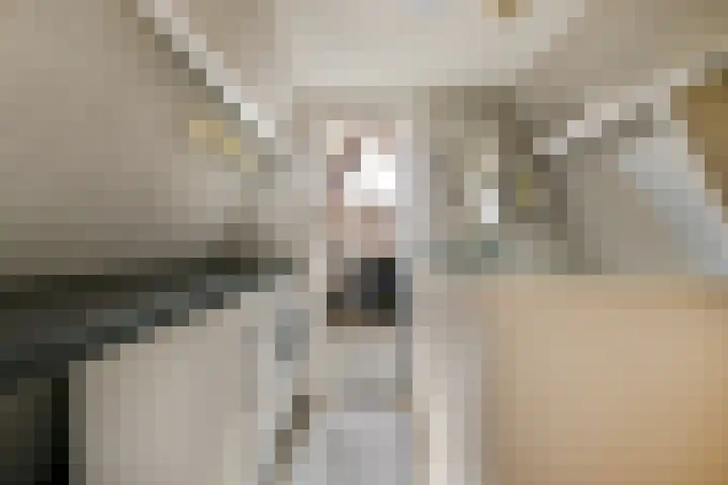 Pijlkruid 5 Velserbroek thumbnail 26