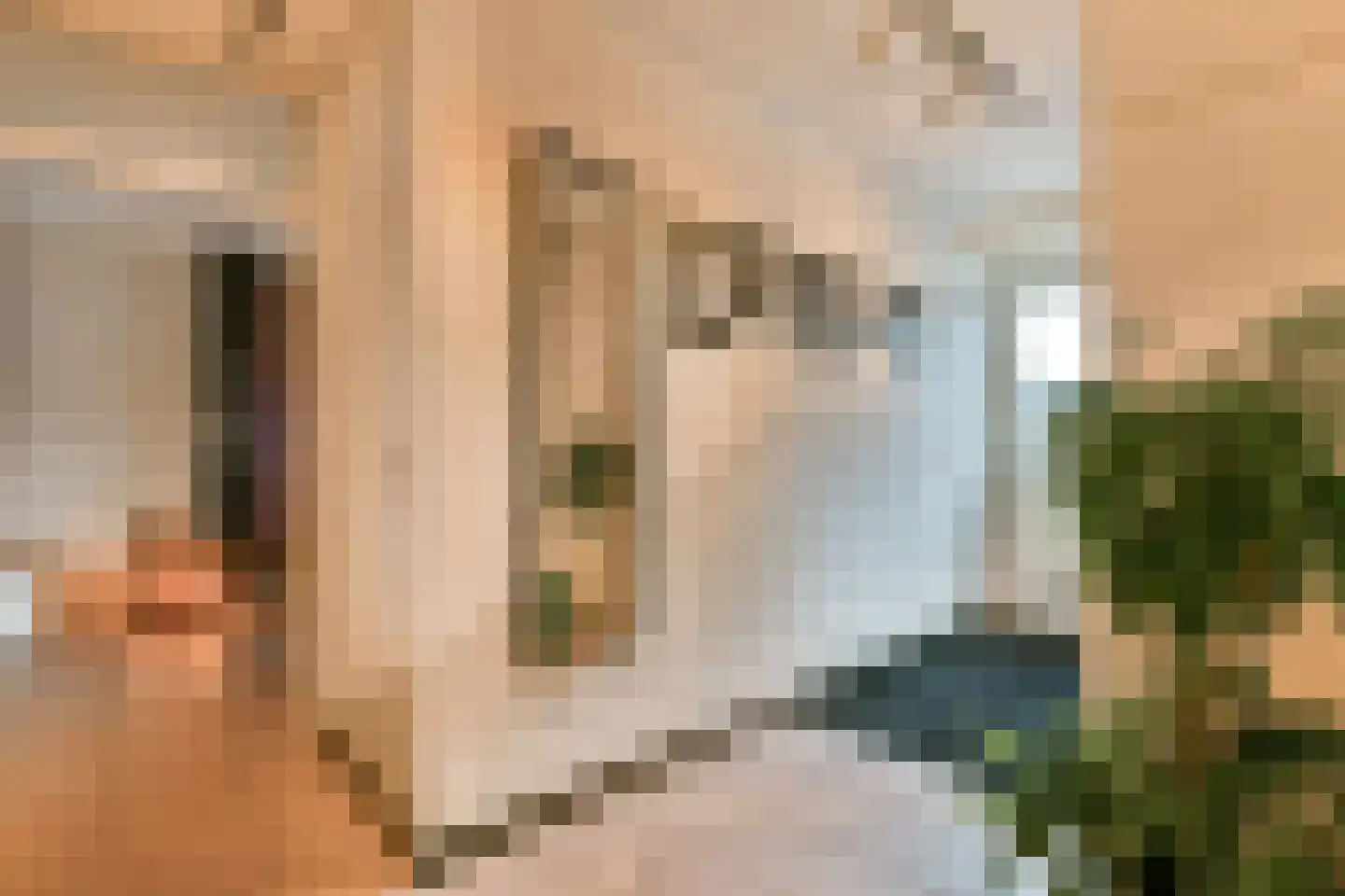 Pijlkruid 5 Velserbroek thumbnail 28
