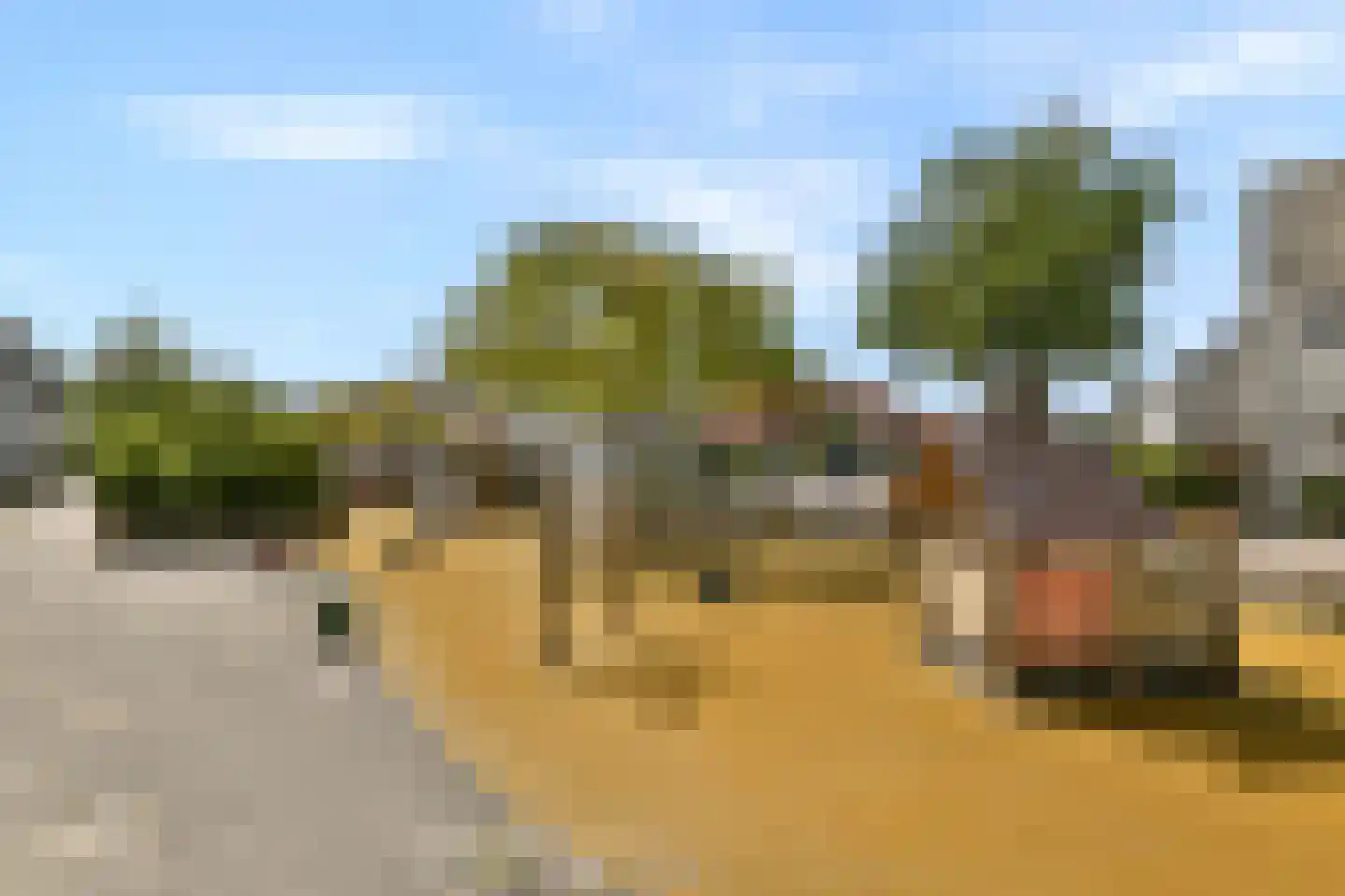 Pijlkruid 5 Velserbroek thumbnail 29