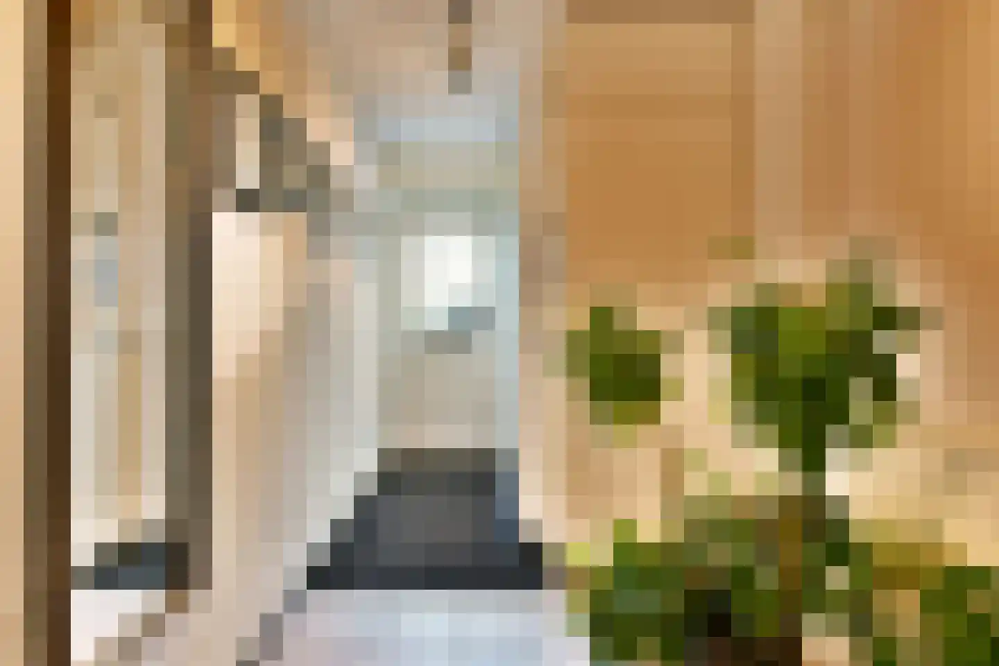 Pijlkruid 5 Velserbroek thumbnail 29