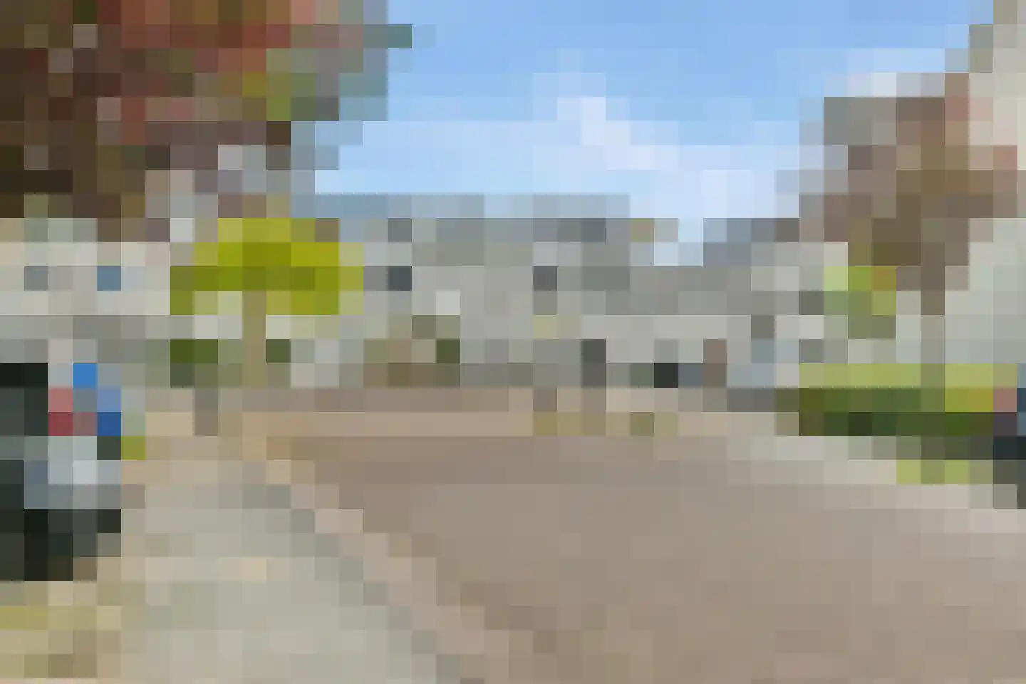 Pijlkruid 5 Velserbroek thumbnail 32