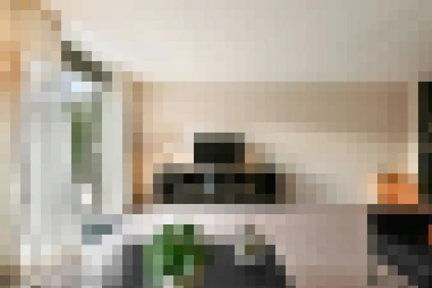 Pijlkruid 5 Velserbroek thumbnail 4