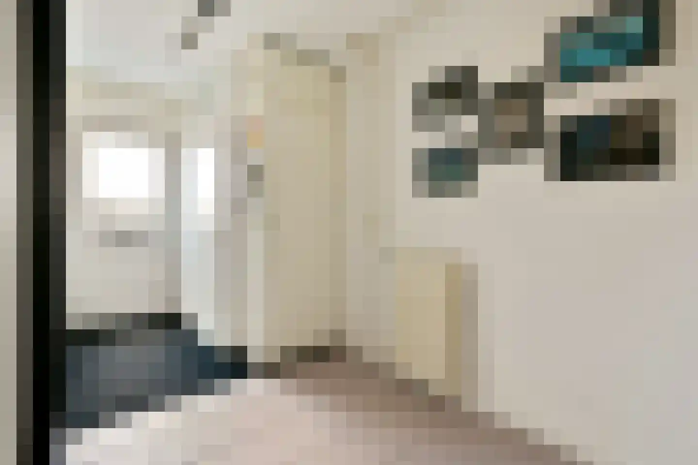 Pijlkruid 5 Velserbroek thumbnail 5