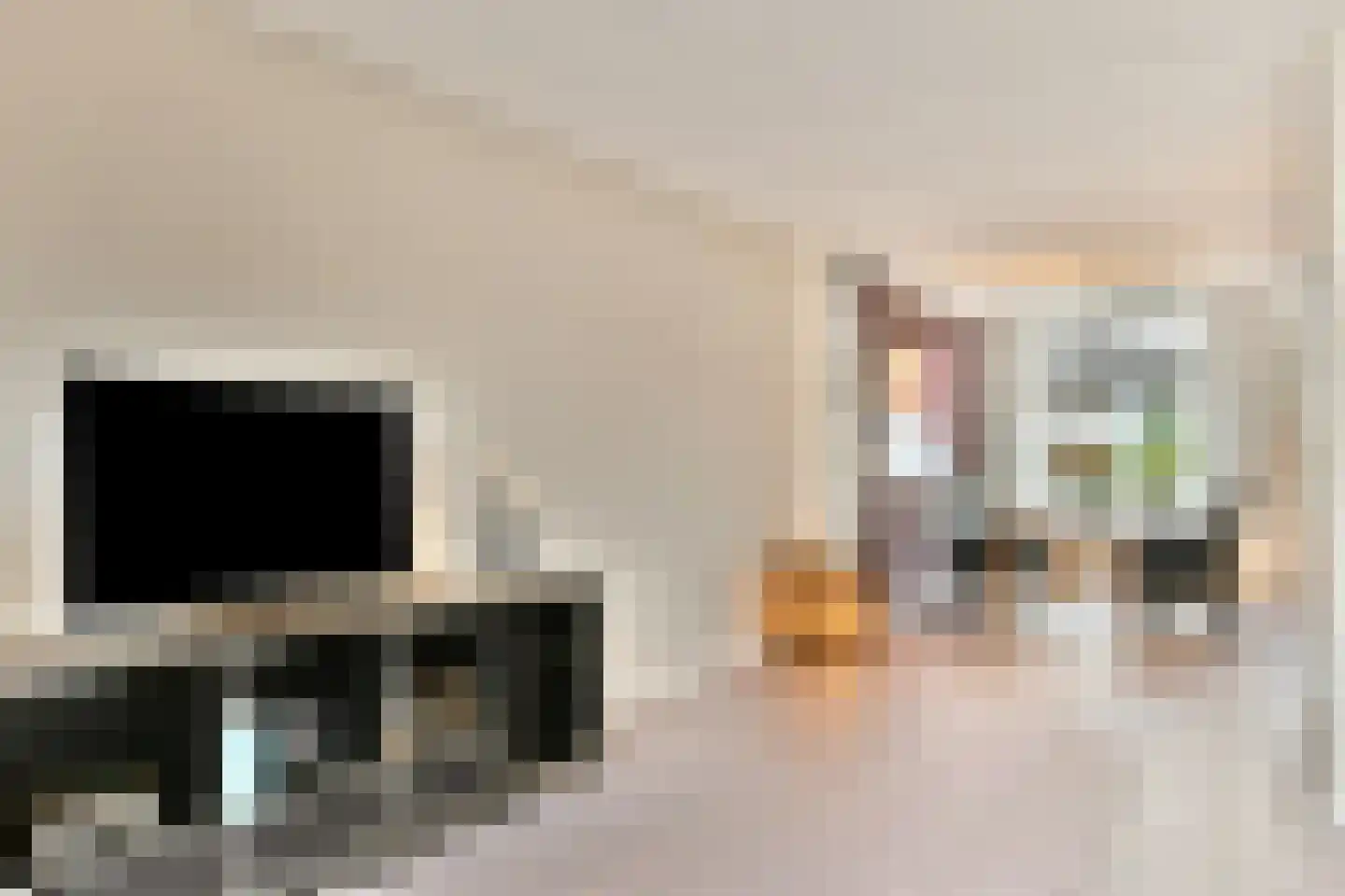 Pijlkruid 5 Velserbroek thumbnail 5