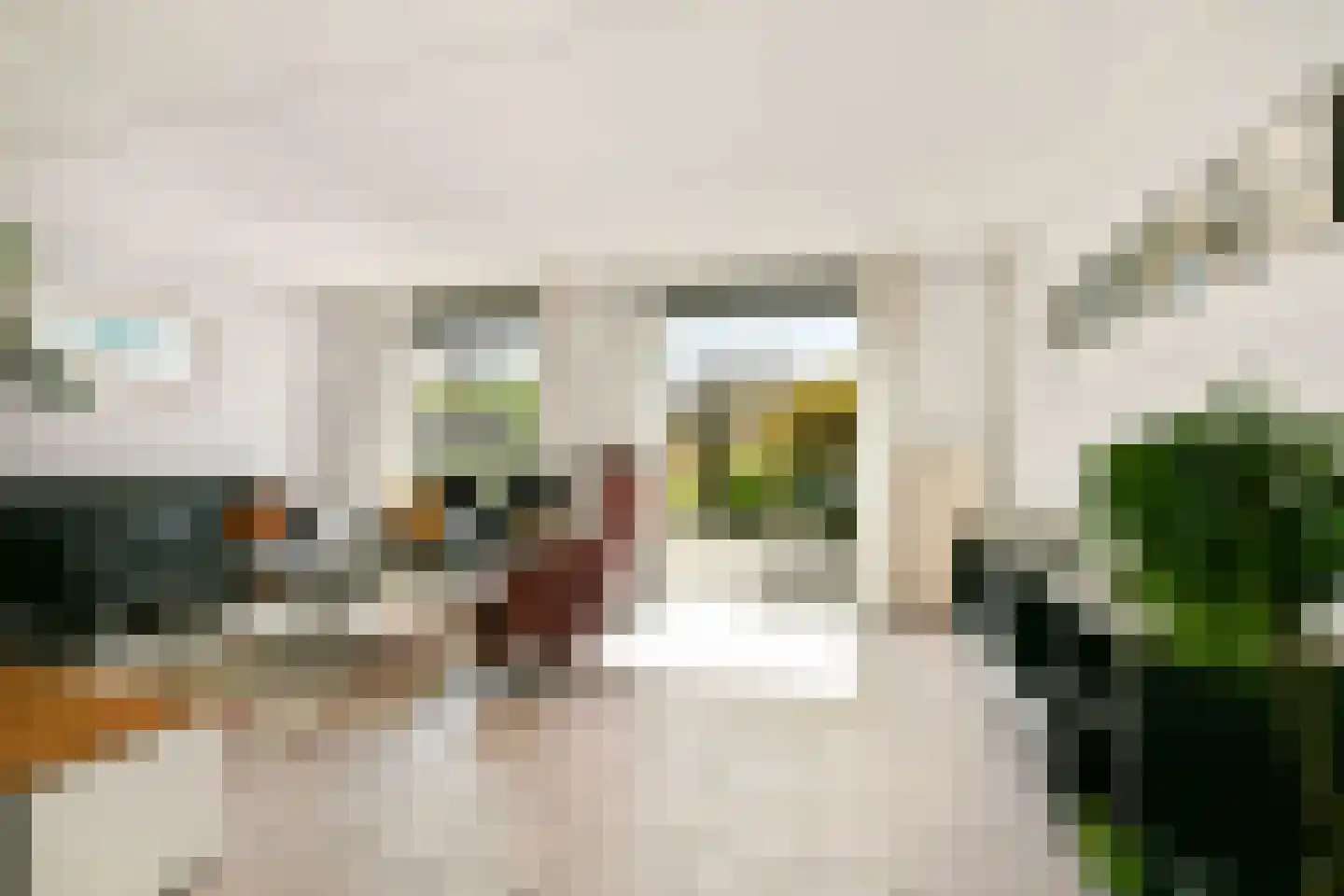 Pijlkruid 5 Velserbroek thumbnail 6