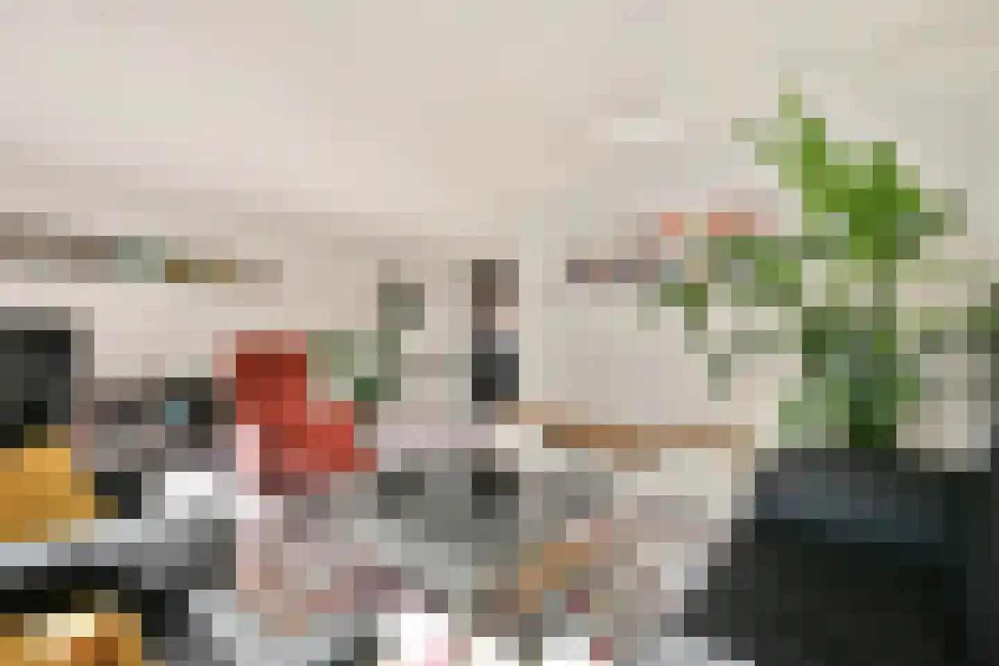Pijlkruid 5 Velserbroek thumbnail 7