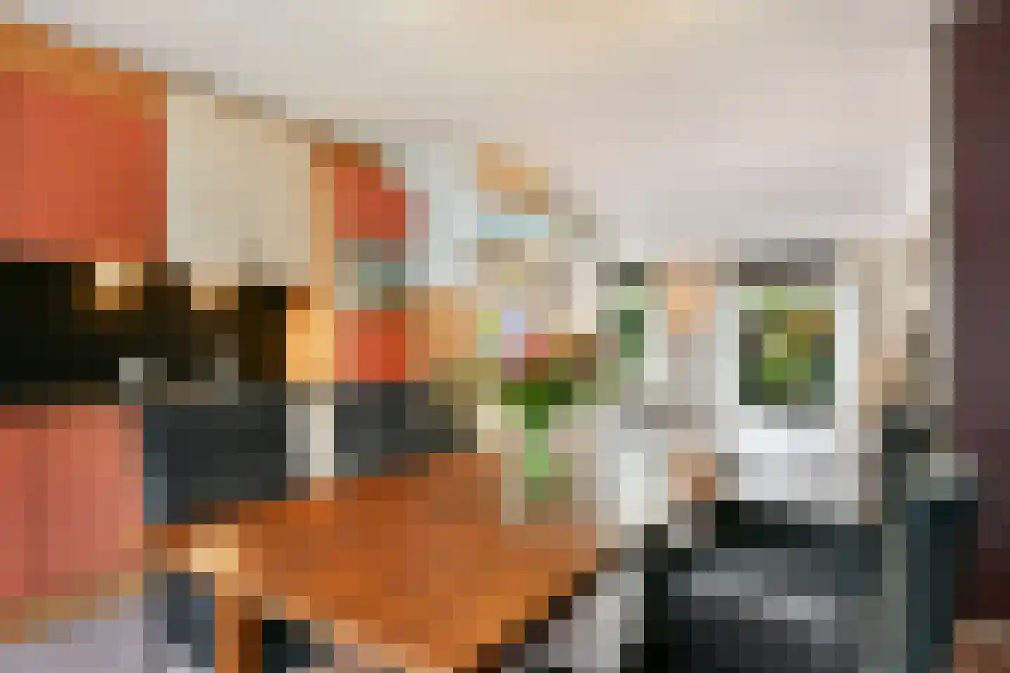Pijlkruid 5 Velserbroek thumbnail 8