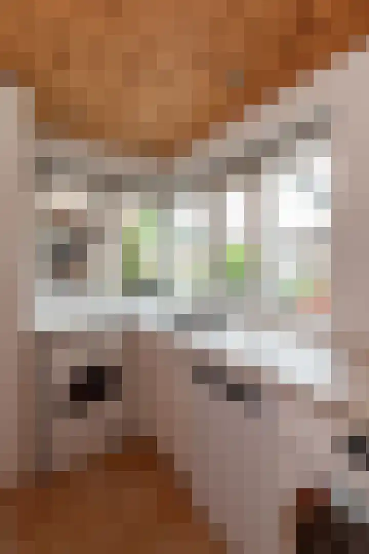 Pijlkruid 53 Nijverdal thumbnail 14