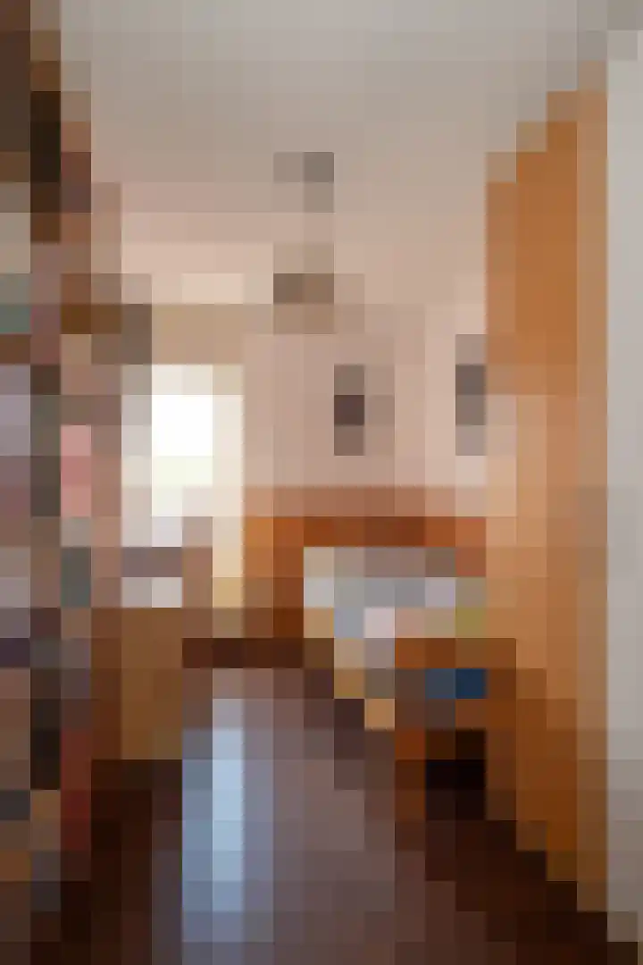 Pijlkruid 53 Nijverdal thumbnail 19