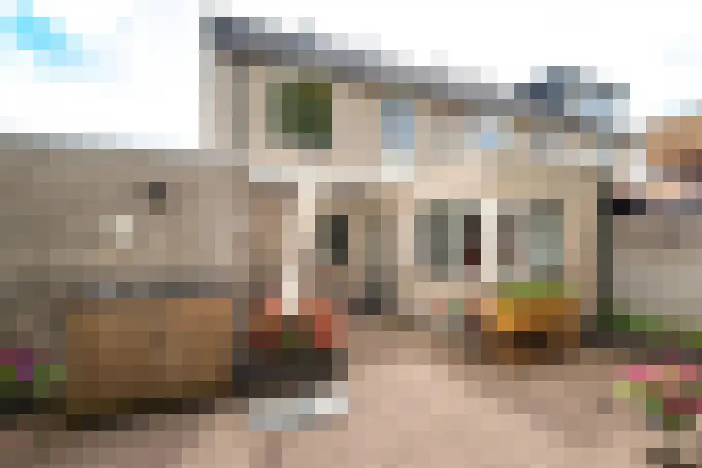 Pijlkruid 53 Nijverdal thumbnail 29