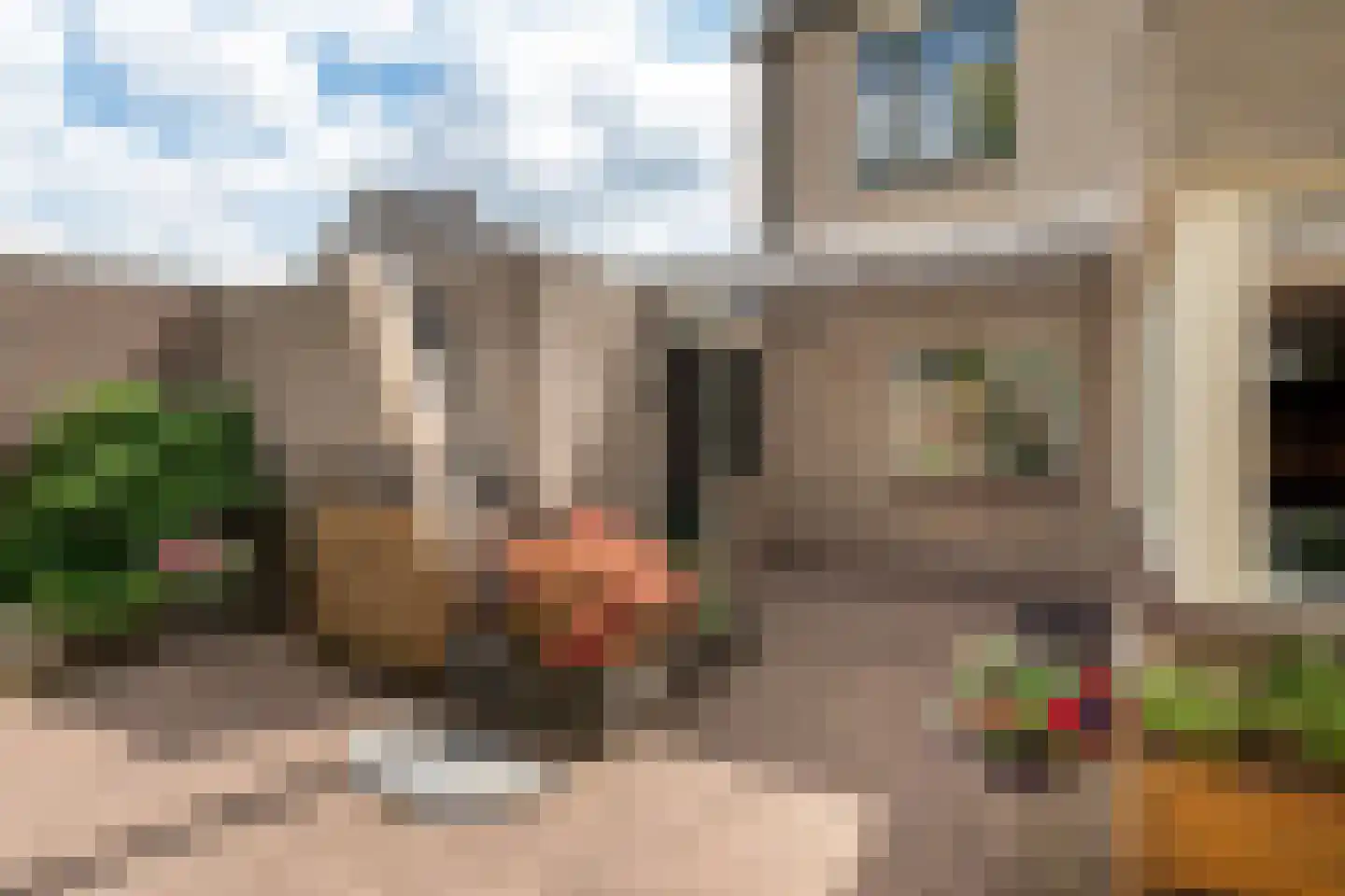 Pijlkruid 53 Nijverdal thumbnail 30