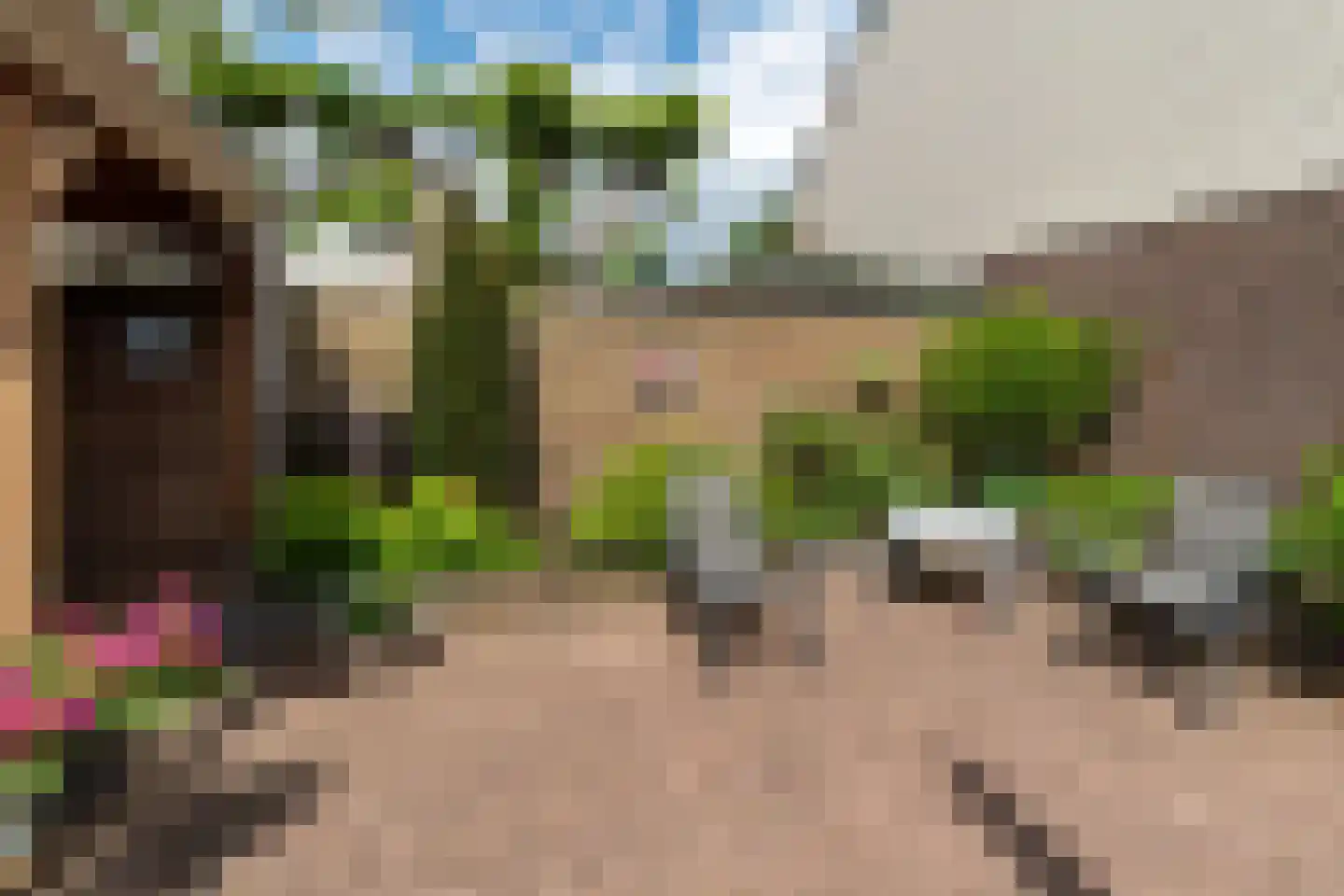 Pijlkruid 53 Nijverdal thumbnail 32