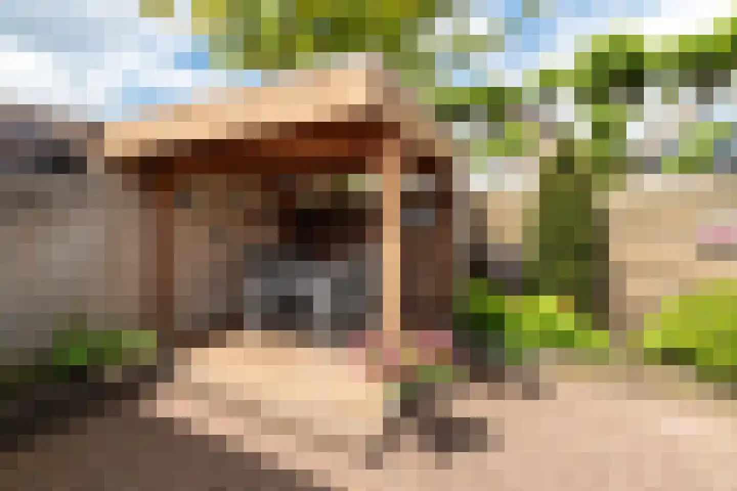Pijlkruid 53 Nijverdal thumbnail 34